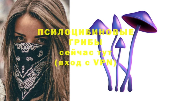скорость Кукмор