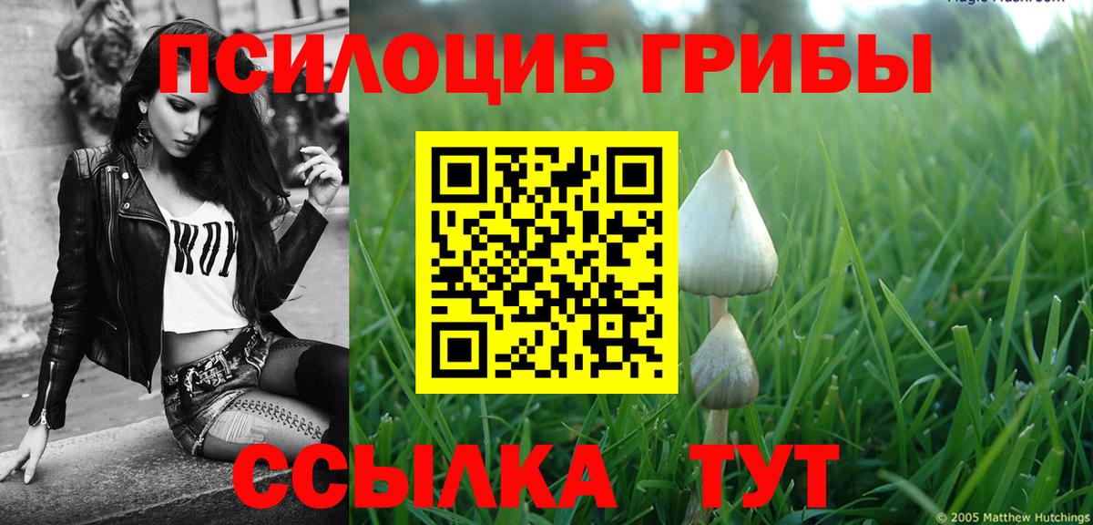 Коммунар  Галлюциногенные грибы мухоморы  цены   Вход с VPN 