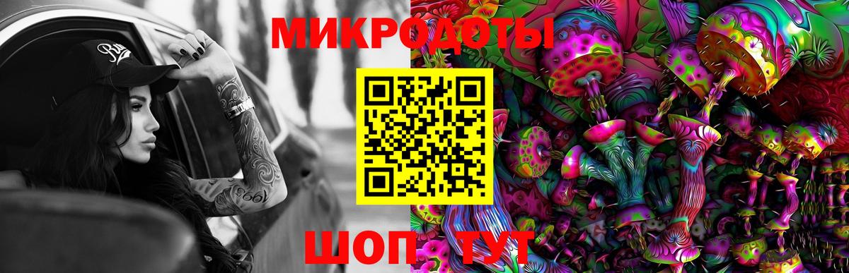 Псилоцибиновые грибы Cubensis Коммунар